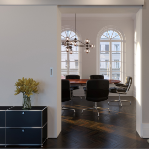 living room pocket door