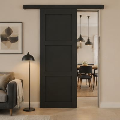 modern style sliding kitchen door